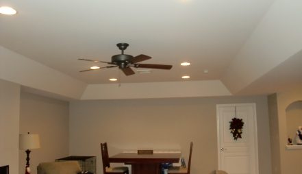 Ceiling fan