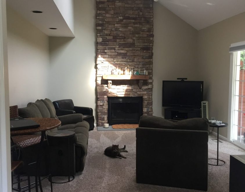 newly renovated living space with carpet furniture and fireplace